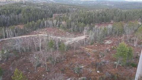 Photo from Tower view