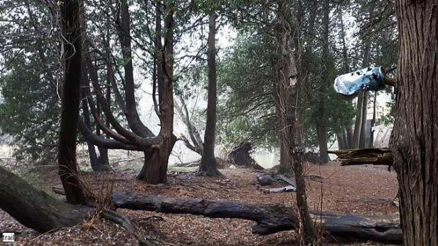 Chambers Bridge photo 5