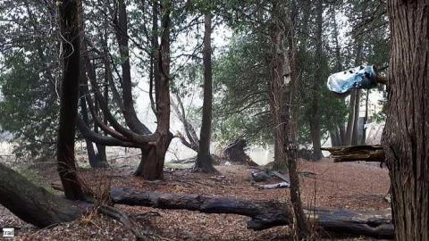 Chambers Bridge Nov 2017 - Chambers-Bridge17.jpg