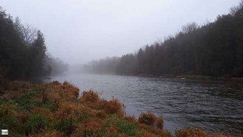 Chambers Bridge Nov 2017 - Chambers-Bridge18.jpg