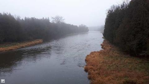 Chambers Bridge Nov 2017 - Chambers-Bridge9.jpg