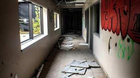 It's A Maze  - b-IMG_3011.jpg