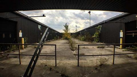 It's A Maze  - c-IMG_2945.jpg