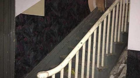 Bookworm House  - Hello...-Its-Me.25.jpg