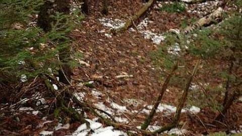 Photo from We found the school