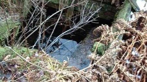 Photo from We found the school