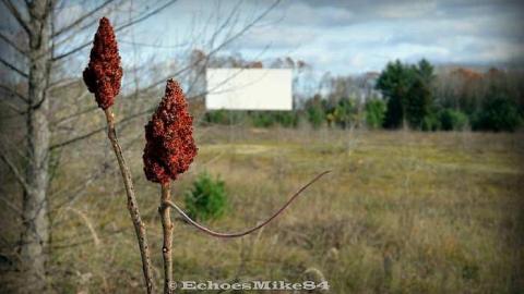 3...2...1... Action - Old-Drivein5.jpg