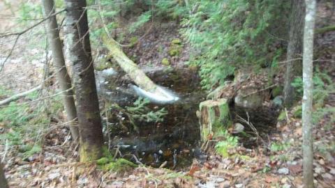 We found the school - Falkenburg-GhostTown-Galleries34.jpg