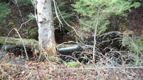 We found the school - Falkenburg-GhostTown-Galleries93.jpg