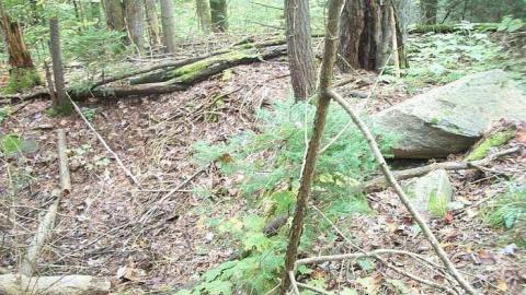 Photo from We found the school