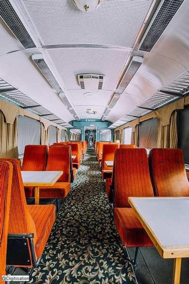 Forgotten Train photo 5