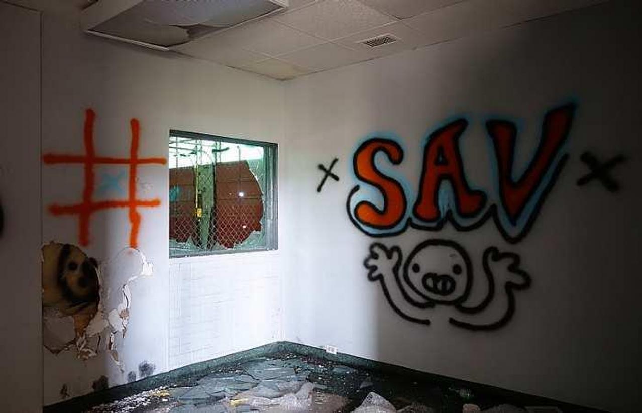 I Am Not Your Maid '17 - DSC09323.jpg