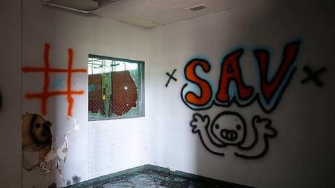 I Am Not Your Maid '17 - DSC09323.jpg