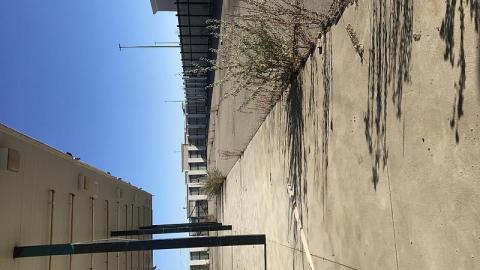 Beautiful day of exploring  - Churchillls-Rona13.jpg