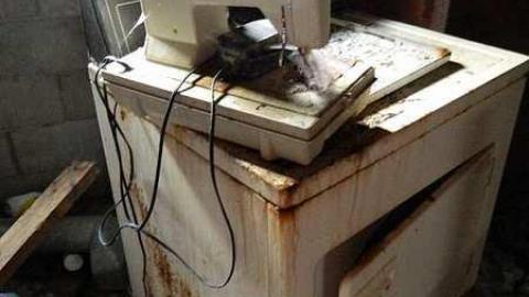  Grandmas Grow op?? - q-DSCN6022.jpg