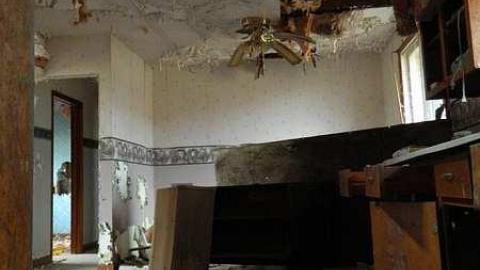  Grandmas Grow op?? - r-DSCN6046.jpg