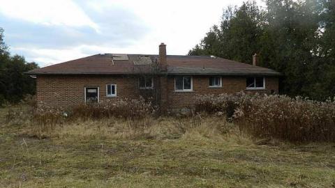  Grandmas Grow op?? - y-DSCN6053.jpg