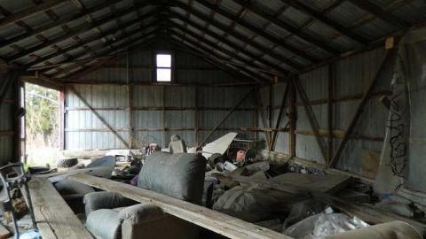  Grandmas Grow op?? - c-DSCN6057.jpg