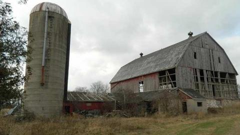  Grandmas Grow op?? - z-DSCN6059.jpg