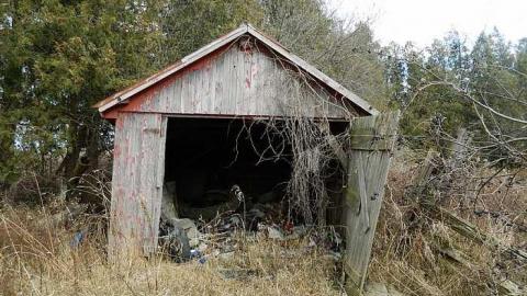  Grandmas Grow op?? - k-DSCN6061.jpg