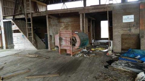  Grandmas Grow op?? - b-DSCN6096.jpg