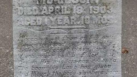 Photo from Good Shephard