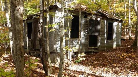 Drink at the Cottage - Pilsner-Urquell5.jpg