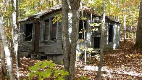 Pilsner Urquell photo 5