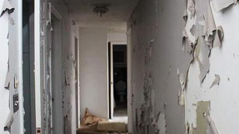 Left in Ruins - IMG_2459.jpg