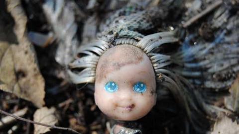 Photo from Rebecca Rd (10/06/11)