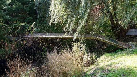 Fallen Ceilings '17 - DSC09656.jpg