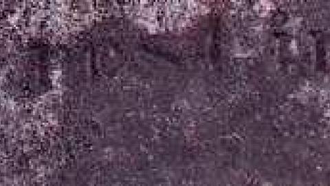 There Is Rest In Heaven  - Old-St.Pauls-Cemetery53.jpg