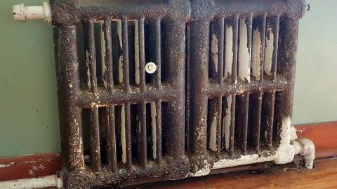 Guru's Blessings '17 - DSC09545.jpg