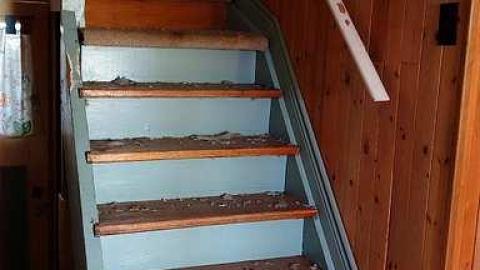 Guru's Blessings '17 - DSC09556.jpg