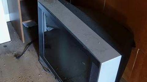 Guru's Blessings '17 - DSC09564.jpg