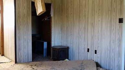 Guru's Blessings '17 - DSC09565.jpg