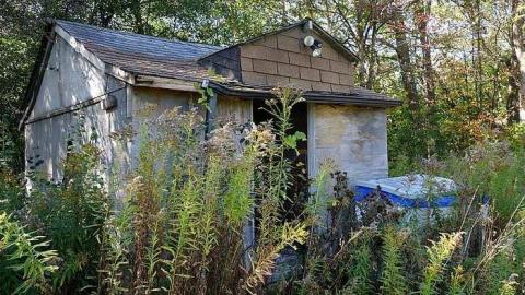 Guru's Blessings '17 - DSC09615.jpg