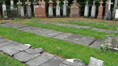 All in a Row - Highway-6n6---Pioneer-Cemetery34.jpg