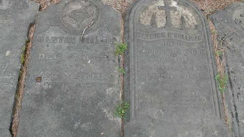 All in a Row - Highway-6n6---Pioneer-Cemetery25.jpg