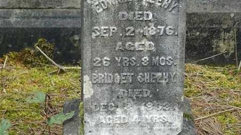 All in a Row - Highway-6n6---Pioneer-Cemetery37.jpg