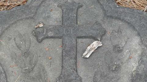 All in a Row - Highway-6n6---Pioneer-Cemetery29.jpg