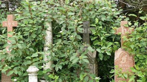 All in a Row - Highway-6n6---Pioneer-Cemetery31.jpg