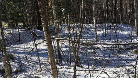 Hoodstown Winter 2017 - Muskoka-s-Lost-Ghost-Towns1.jpg