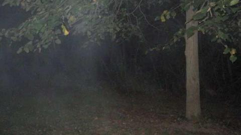 Nighttime visit - Blue-Church8.jpg