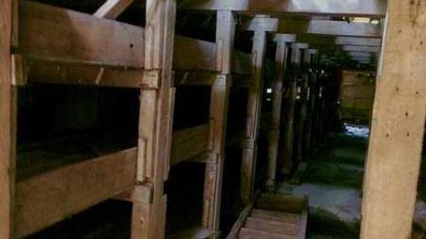 Mushroom Farm - Darlington-Mushroom-Farm2.jpg