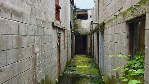 Mushroom Farm - Darlington-Mushroom-Farm12.jpg