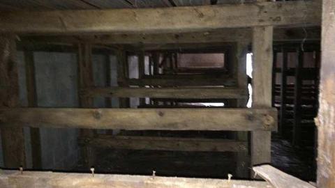 Photo from Mushroom Farm