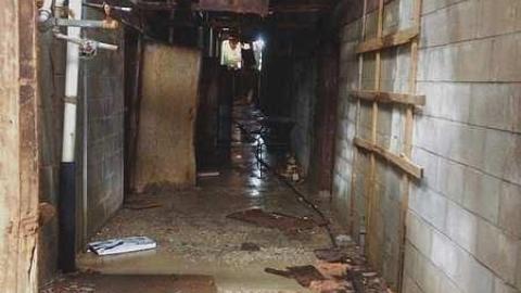 Mushroom Farm - Darlington-Mushroom-Farm6.jpg