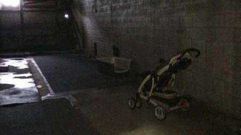 Photo from Mushroom Farm