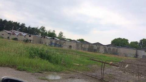 Photo from Mushroom Farm